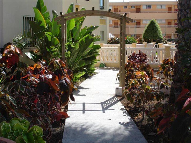 Apartamento Los Ficus Playa Del Inlges Playa del Ingles  Exterior photo